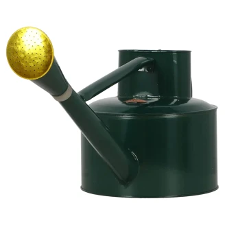 Vandkande 5 L <strong>Rivex</strong>  Grøn, Grøn