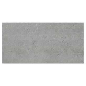 Arbiton Vinylgulv <strong>Amaron Forma</strong>  Ninaventura Grey 45.7x91 cm