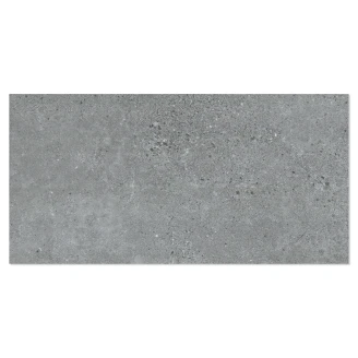 Arbiton Vinylgulv <strong>Amaron Forma</strong>  Ninaventura Graphite 45.7x91 cm