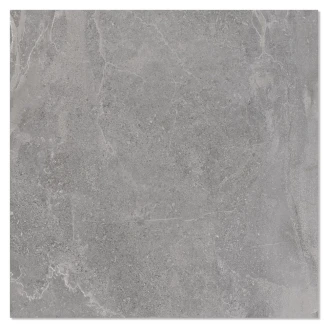 Udendørs Klinker <strong>Empyrio</strong>  Grå Mat 59x59 cm Tykkelse 20 mm