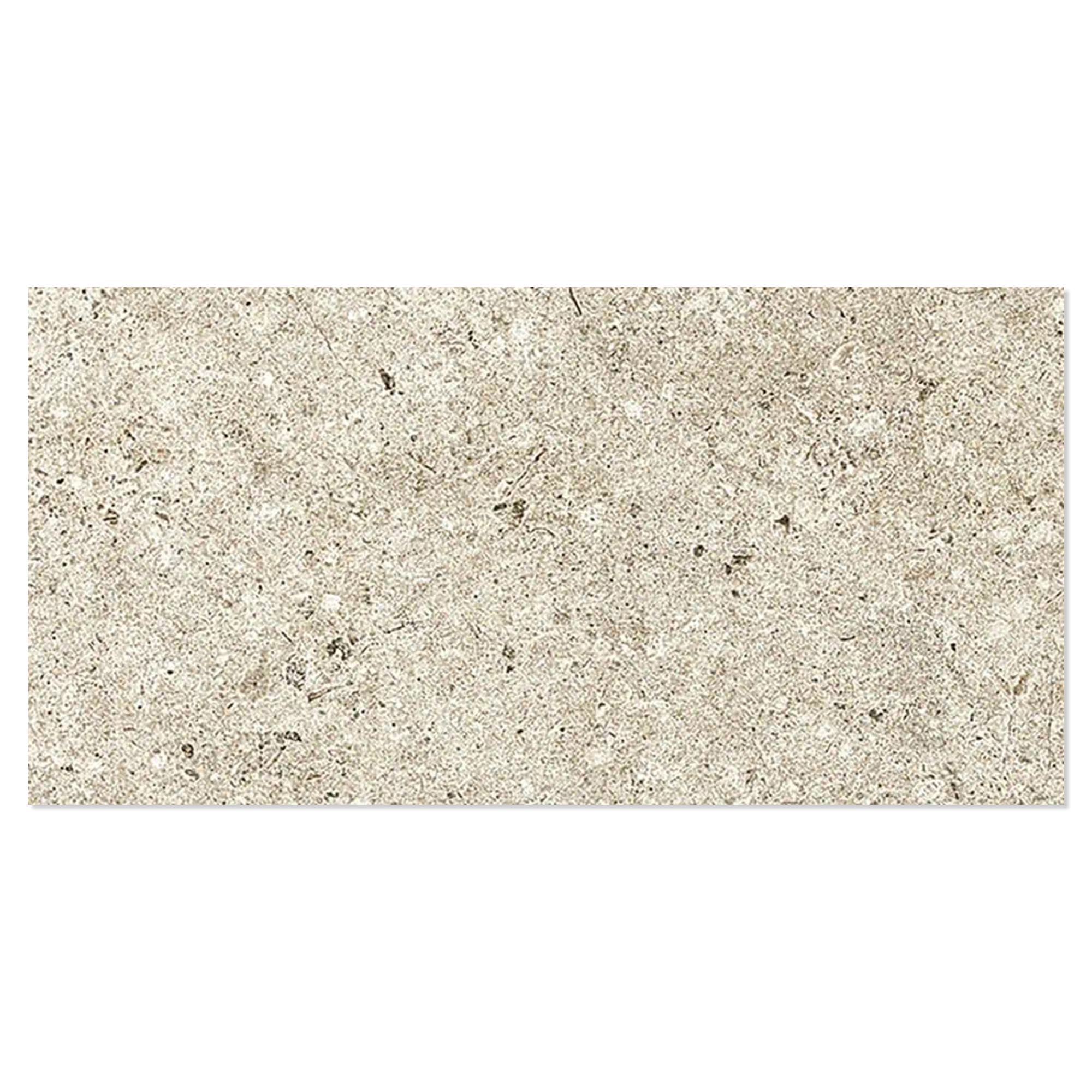 Gulvflis Slite Lys Beige Matt 30x60 cm