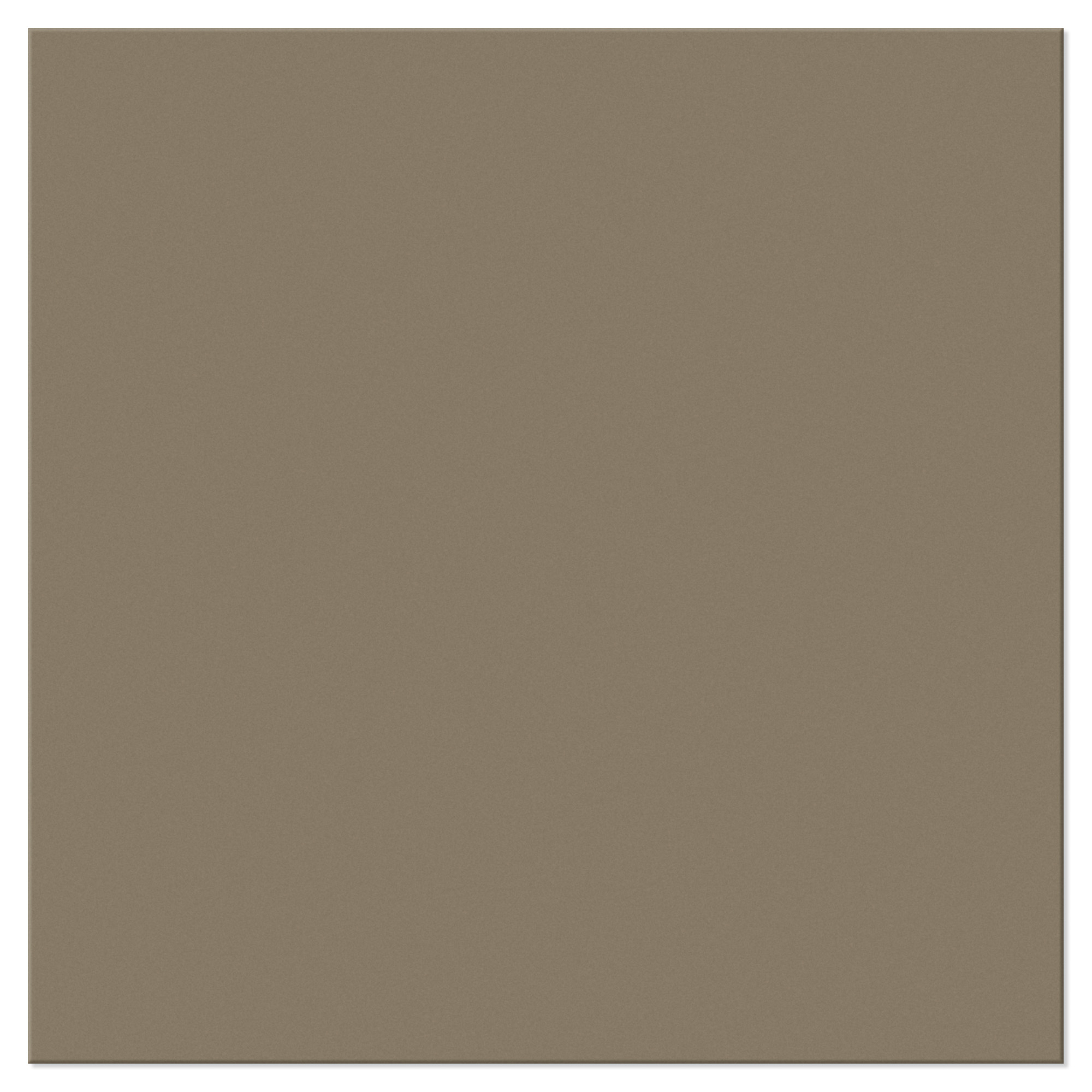 Gulvflis Sekel Ostron Matt 15x15 cm
