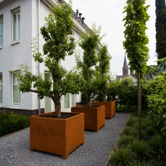 Cortena Plantekasse PATA Cortenstål 80x80x80 cm