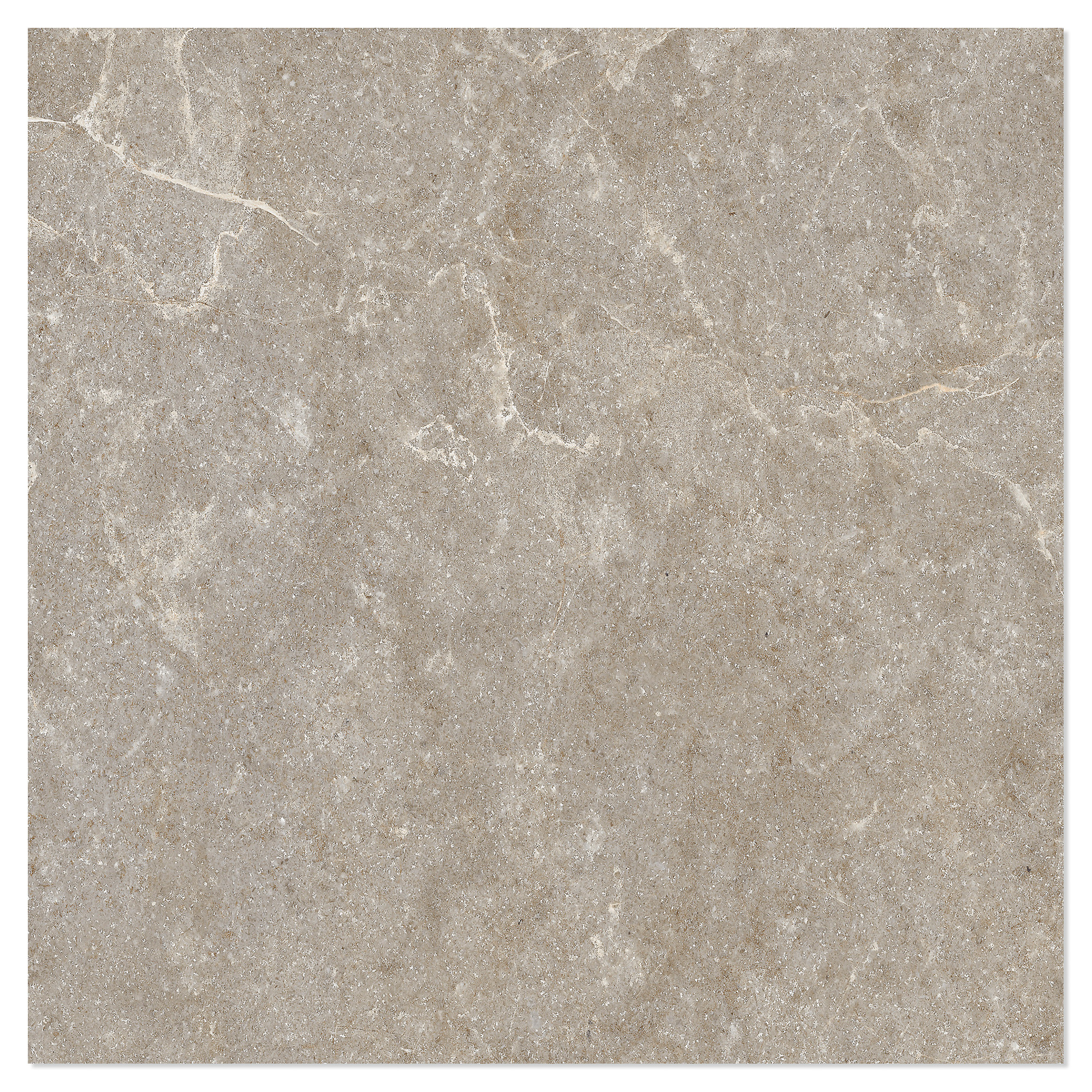 Gulvflis Sora Brun Matt 60x60 cm