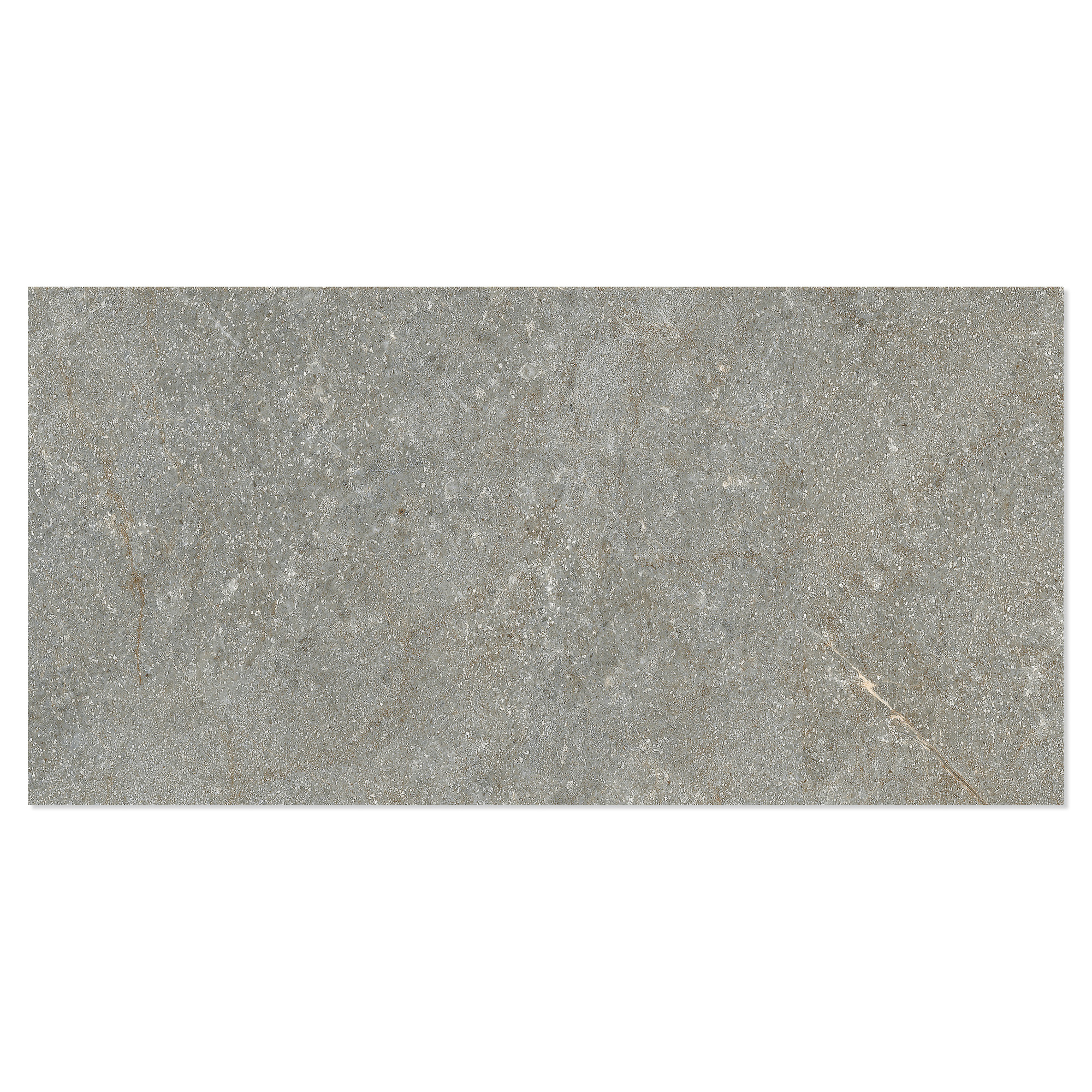 Gulvflis Sora Gråbeige Matt 30x60 cm