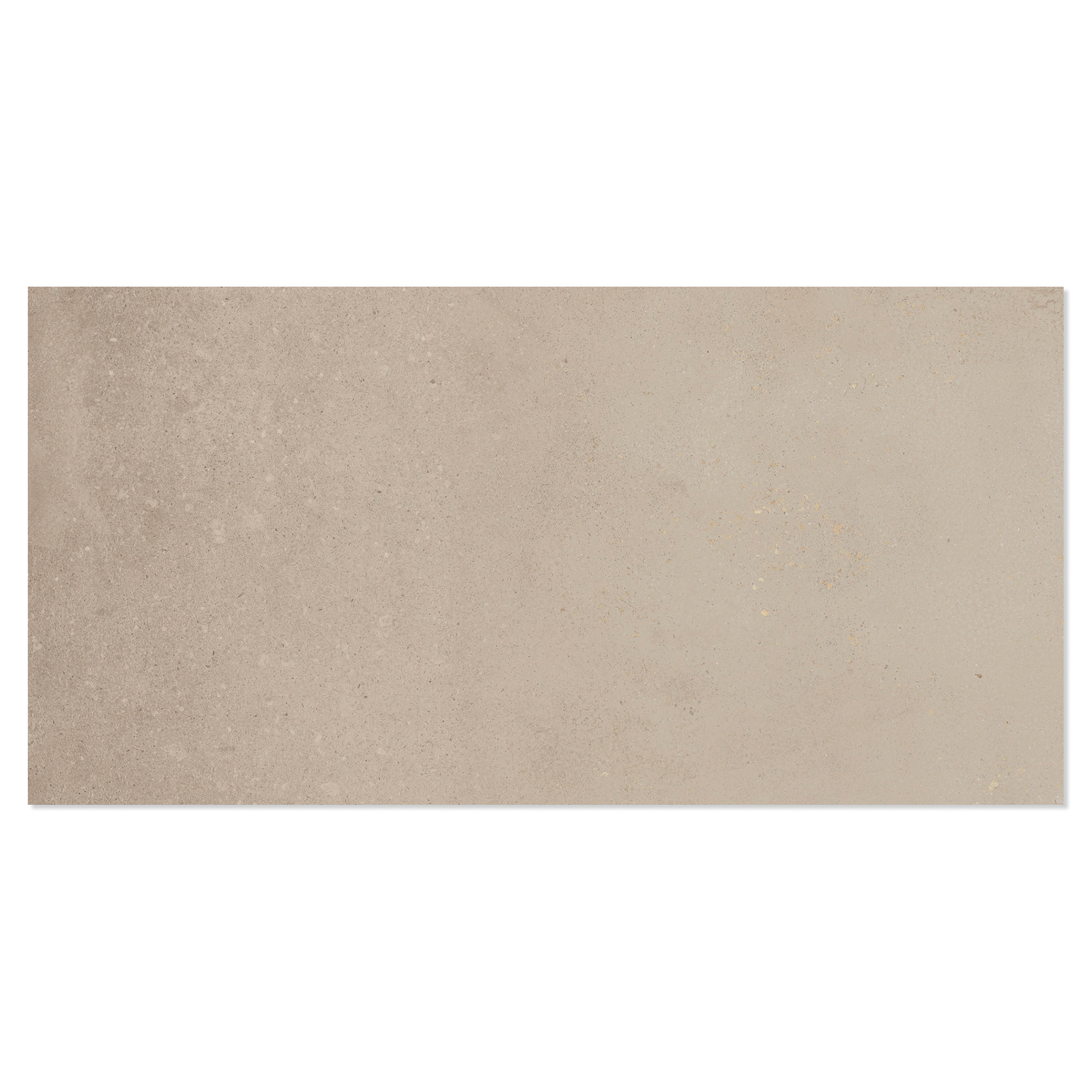 Gulvflis Foundry Beige Matt 30x60 cm