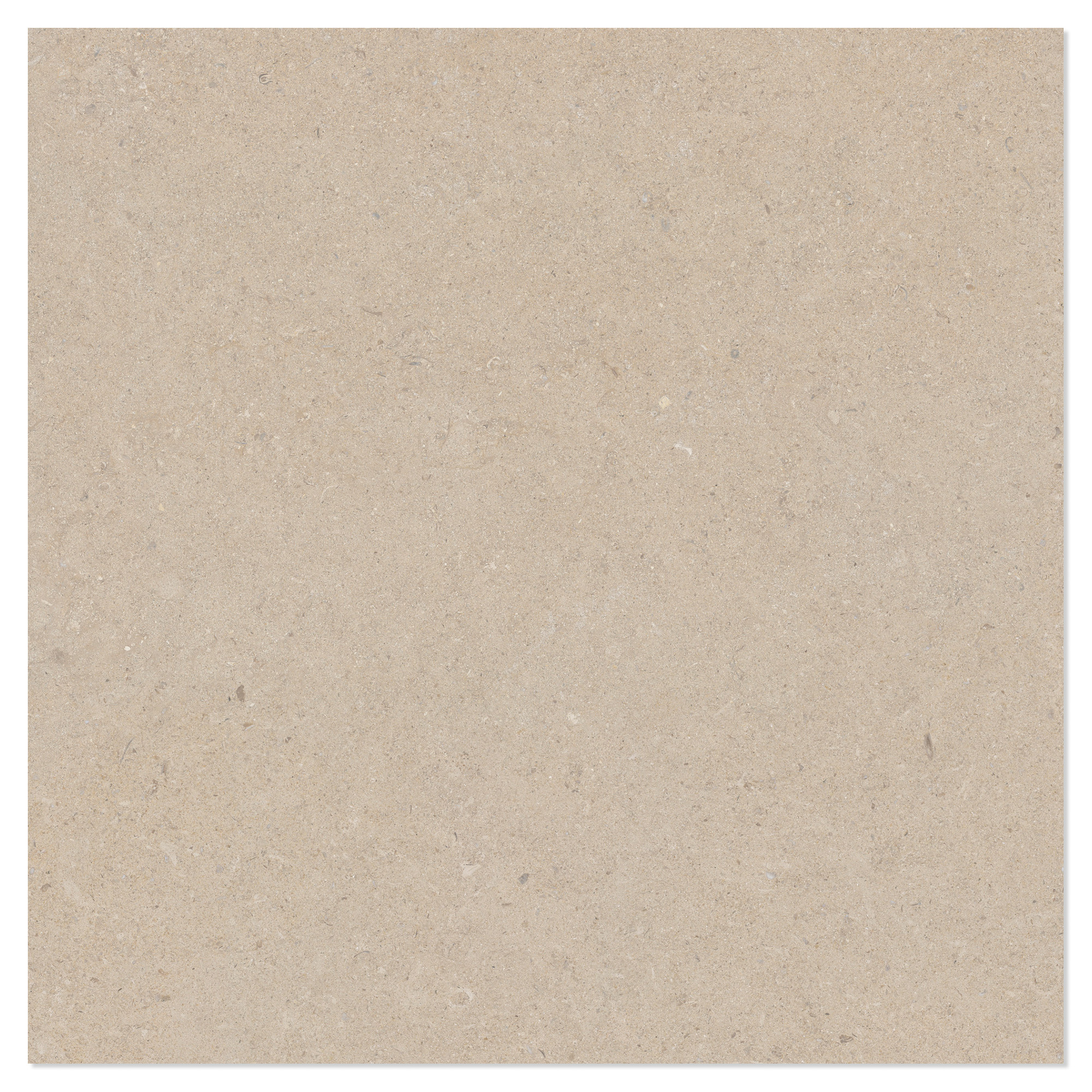 Gulvflis Litha Sand Halvpolert 120x120 cm
