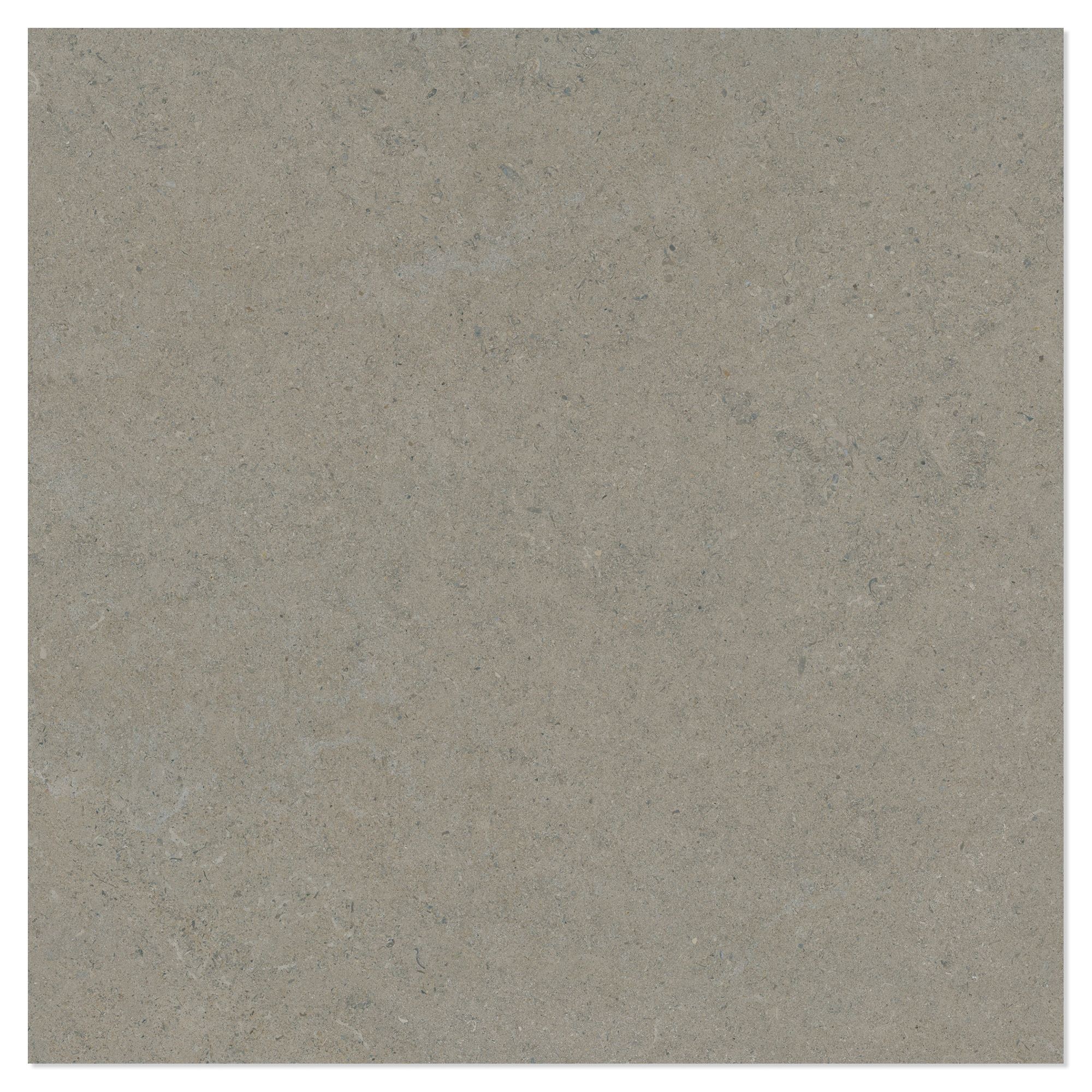Gulvflis Litha Gråbeige Halvpolert 120x120 cm