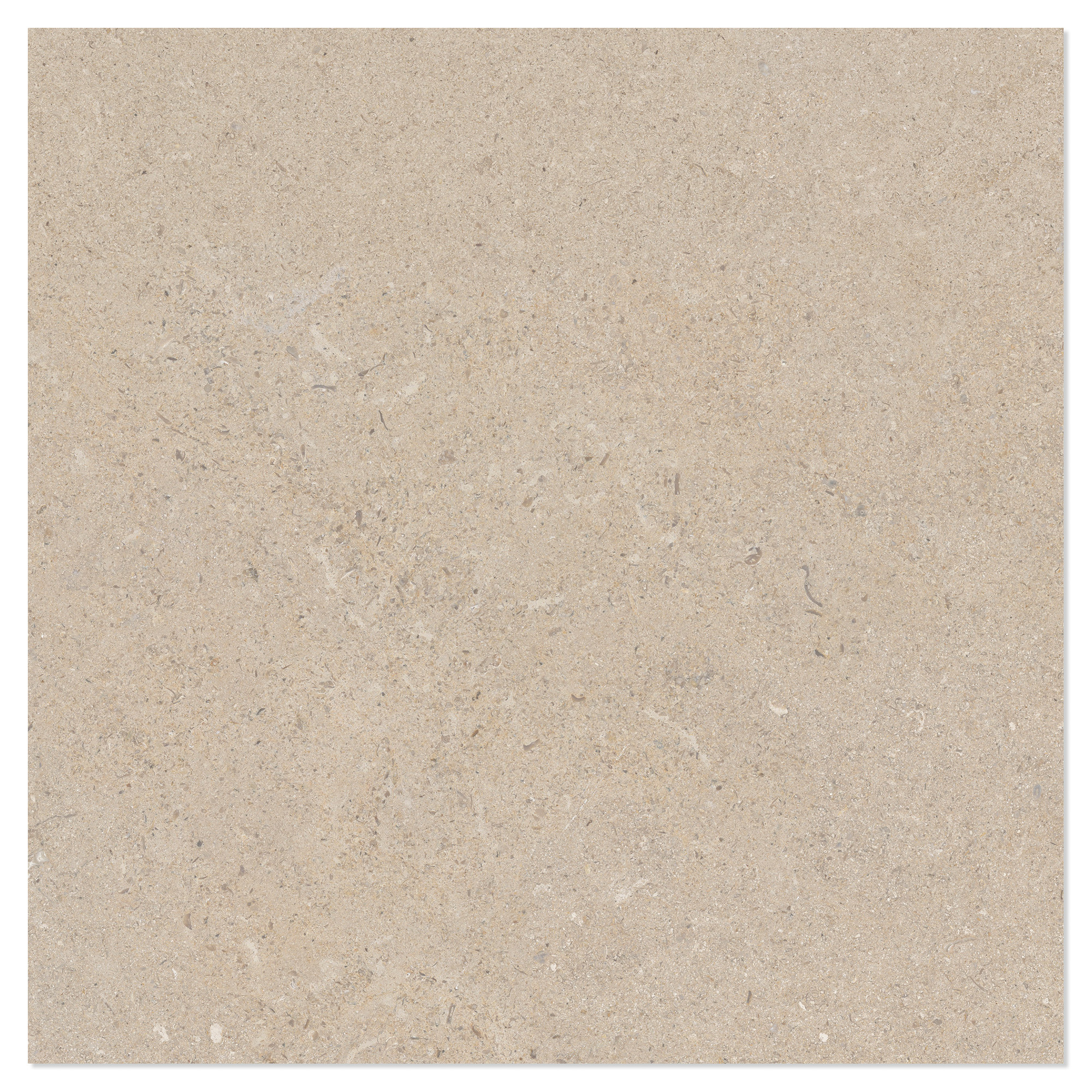 Gulvflis Litha Sand Halvpolert 60x60 cm