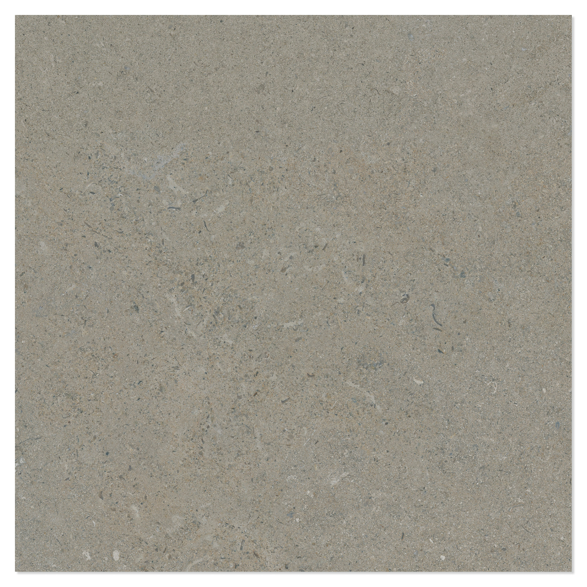 Gulvflis Litha Gråbeige Halvpolert 60x60 cm