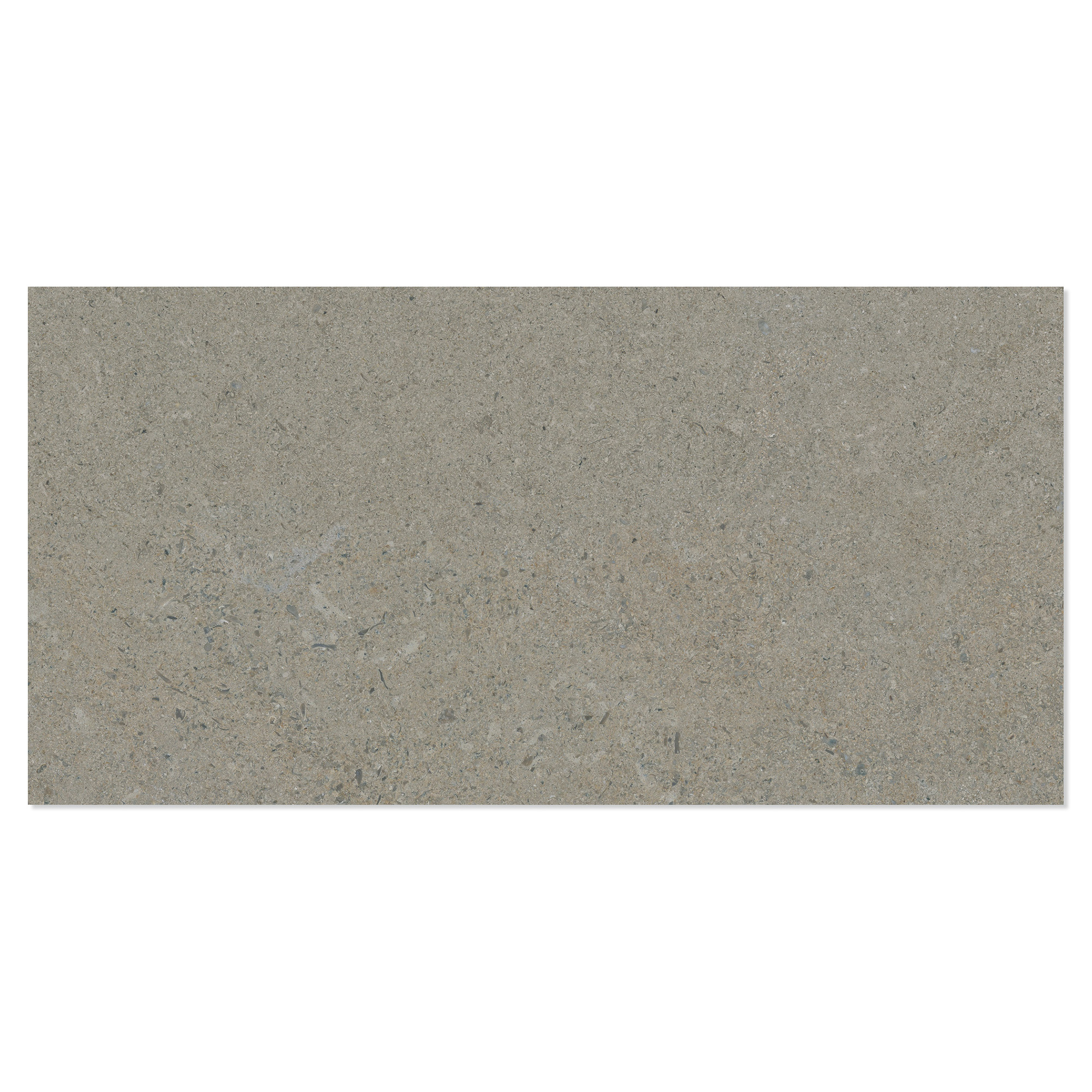 Gulvflis Litha Gråbeige Halvpolert 30x60 cm