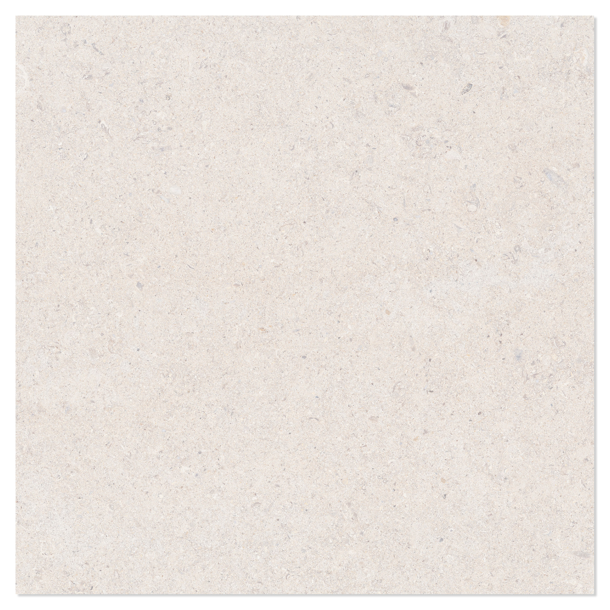 Gulvflis Litha Hvit Brushed Matt 60x60 cm