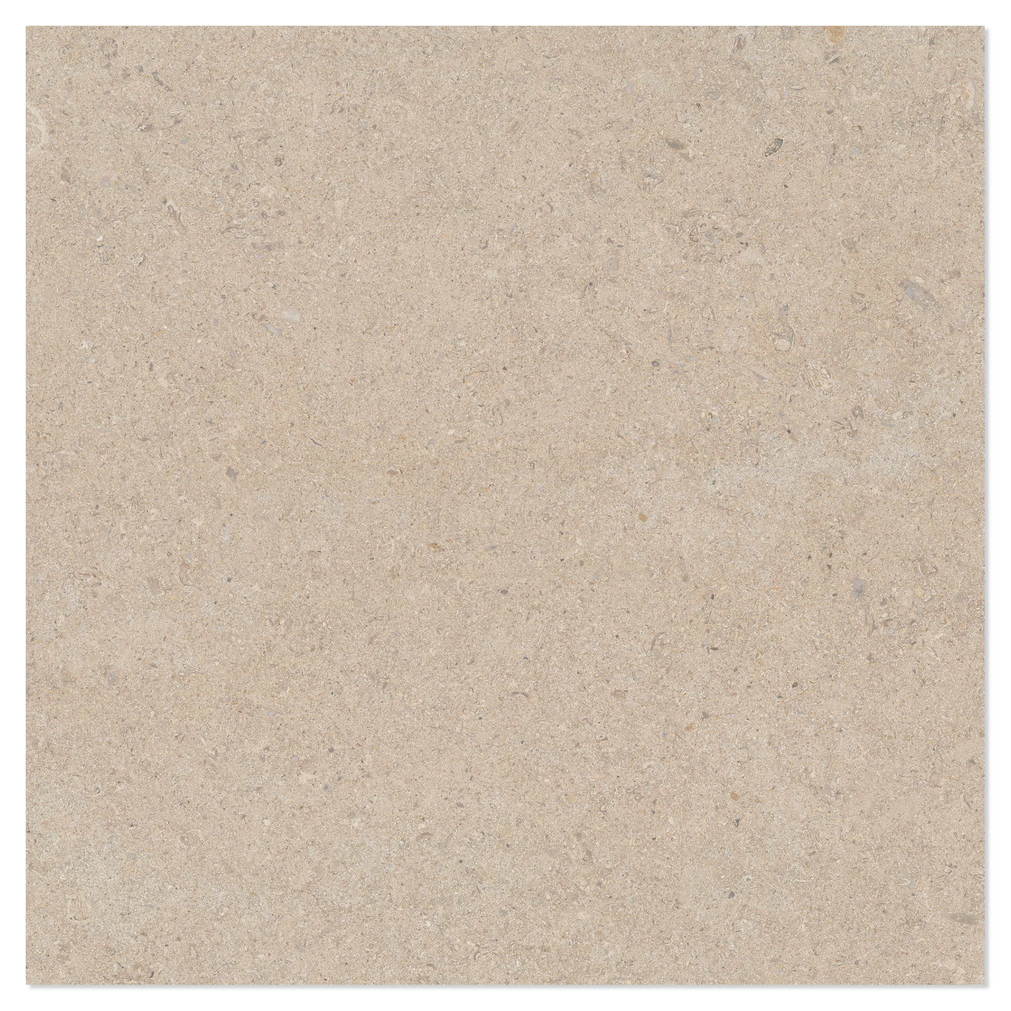 Gulvflis Litha Sand Brushed Matt 60x60 cm