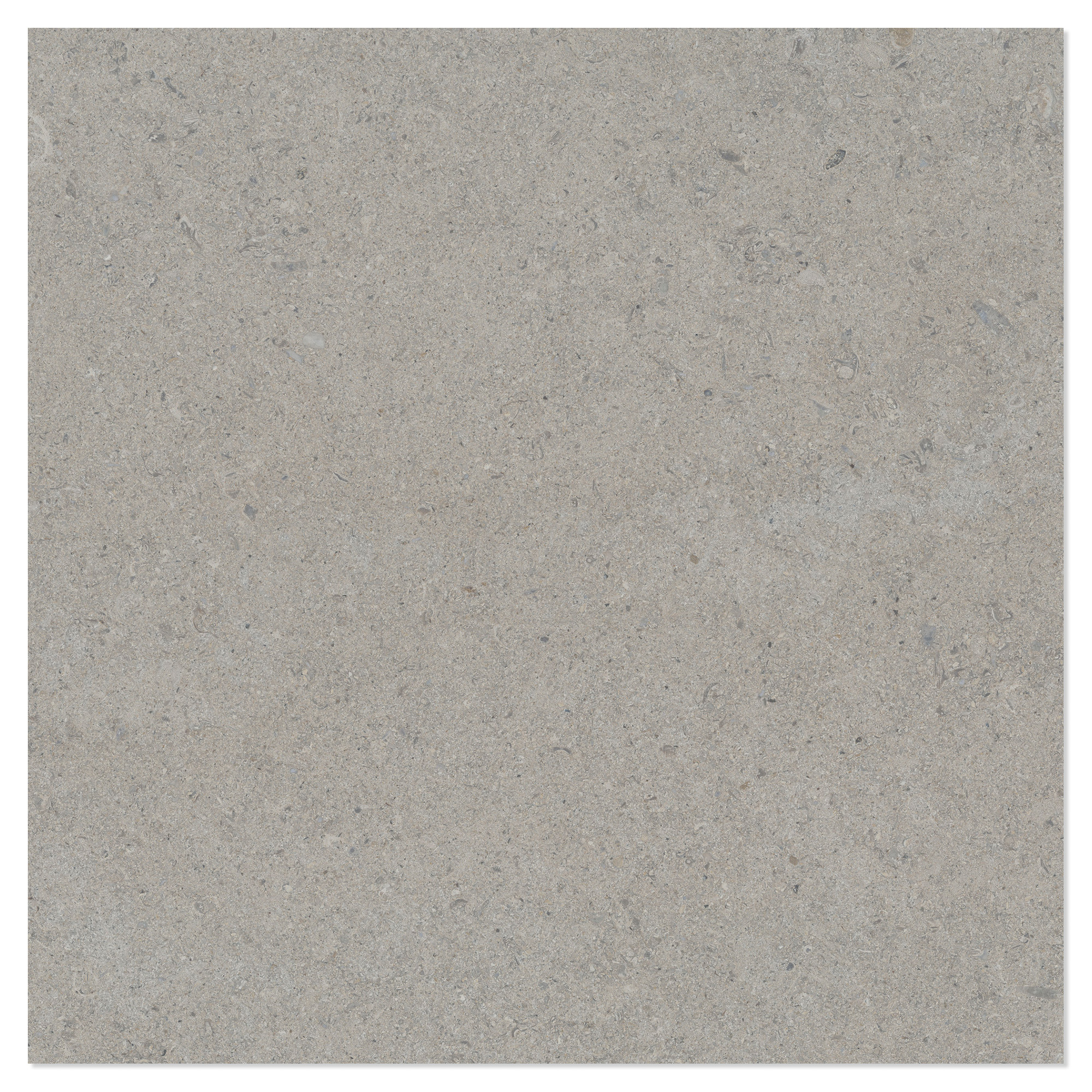 Gulvflis Litha Grå Brushed Matt 60x60 cm