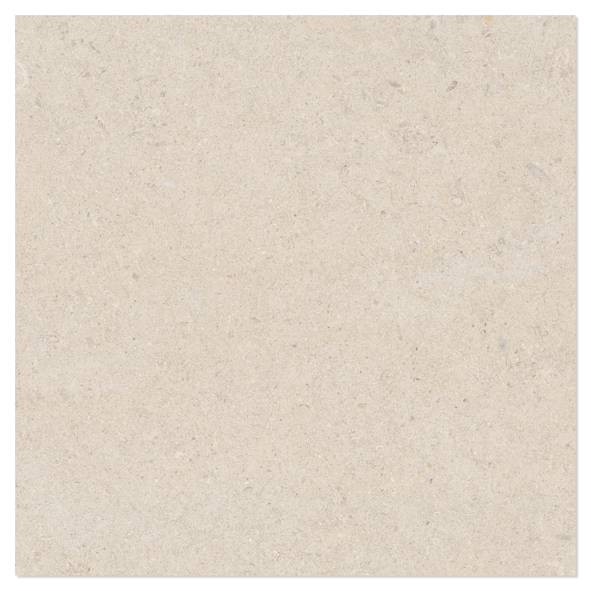 Gulvflis Litha Beige Brushed Matt 60x60 cm