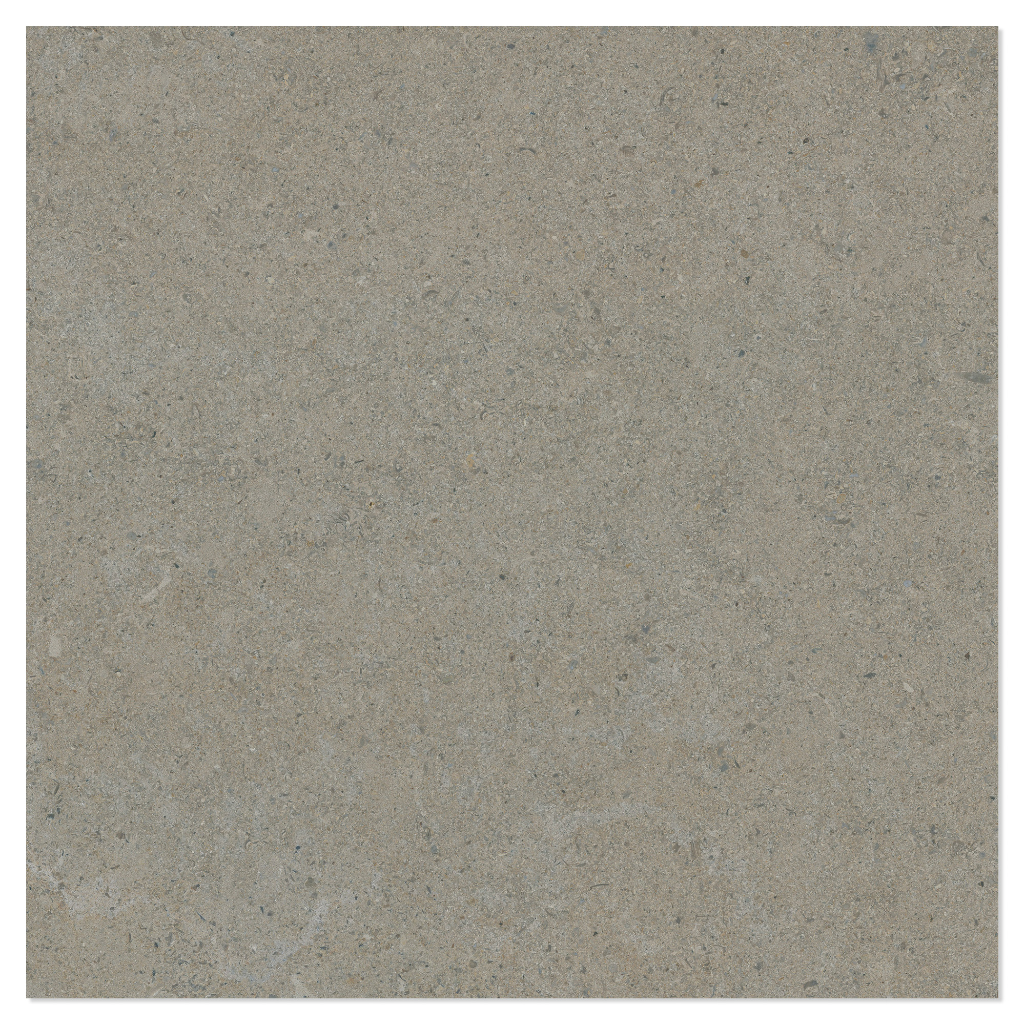 Gulvflis Litha Gråbeige Brushed Matt 60x60 cm