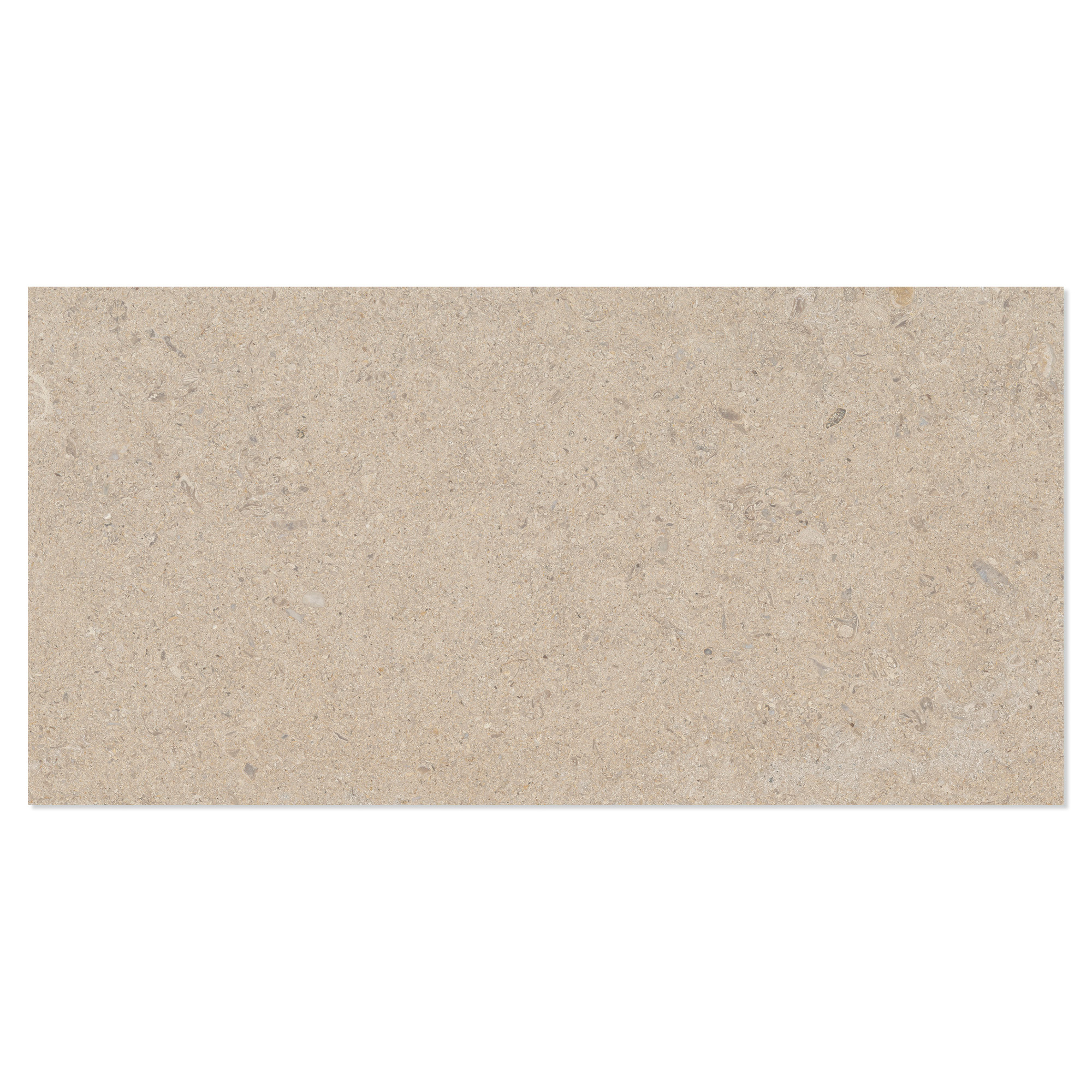 Gulvflis Litha Sand Brushed Matt 30x60 cm