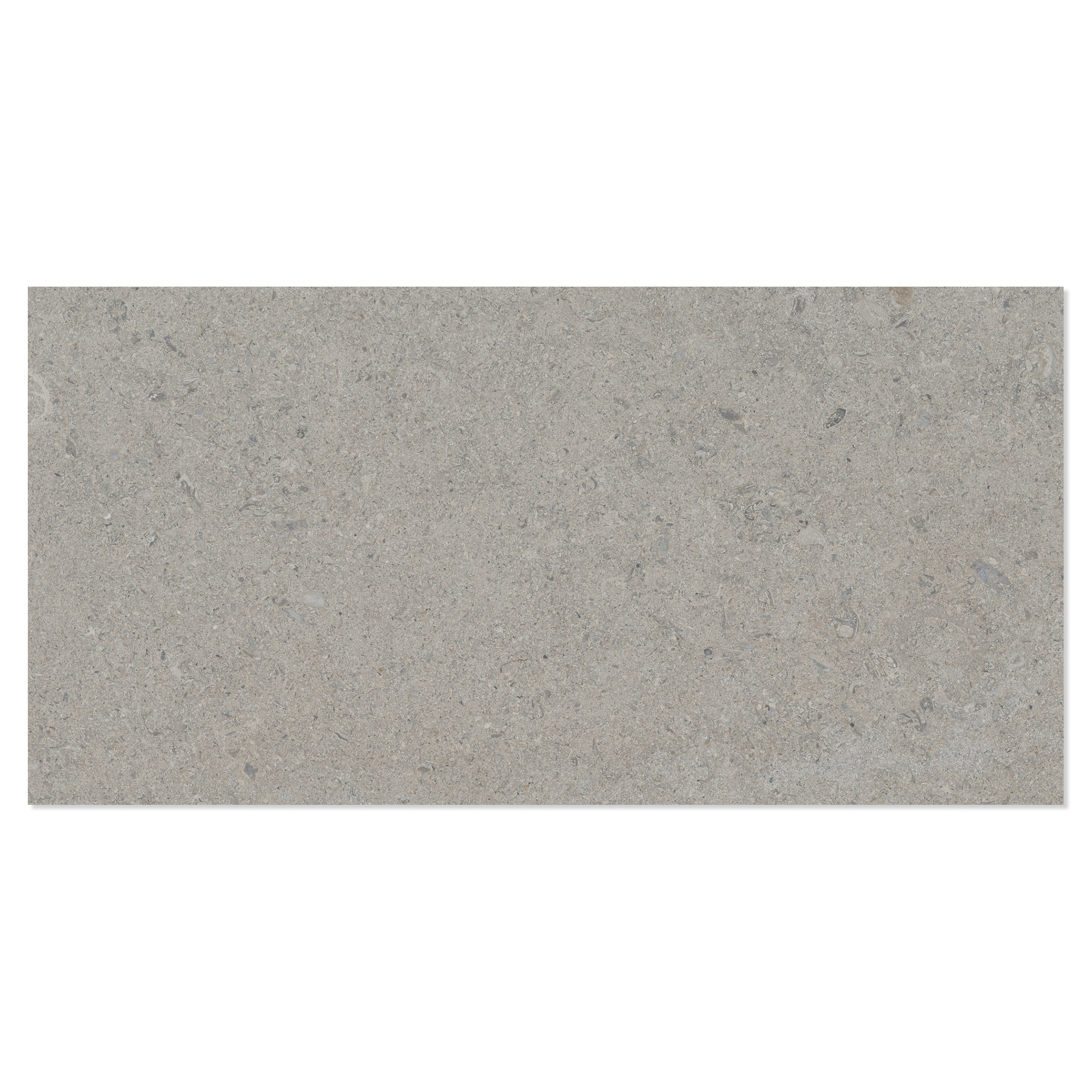 Gulvflis Litha Grå Brushed Matt 30x60 cm