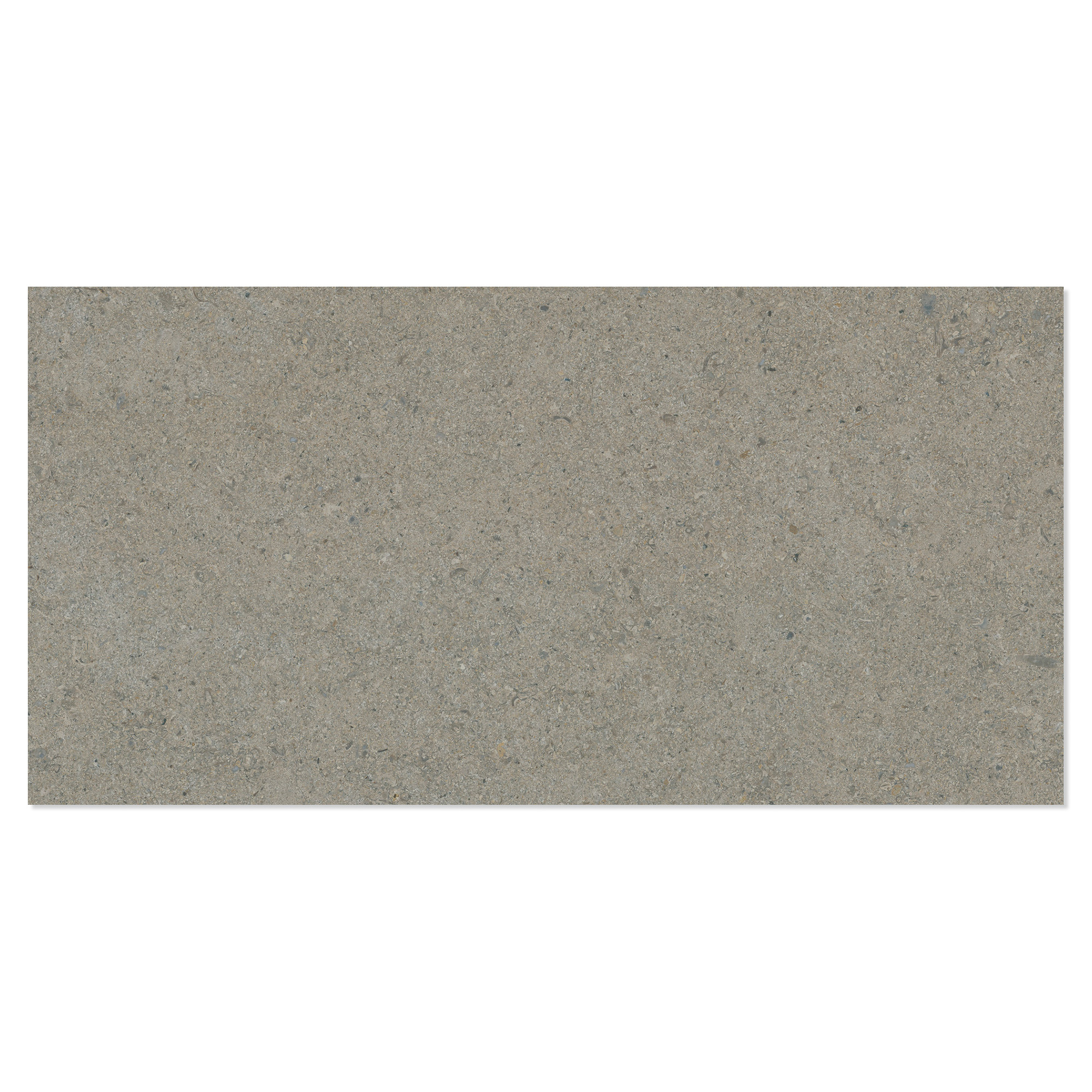 Gulvflis Litha Gråbeige Brushed Matt 30x60 cm
