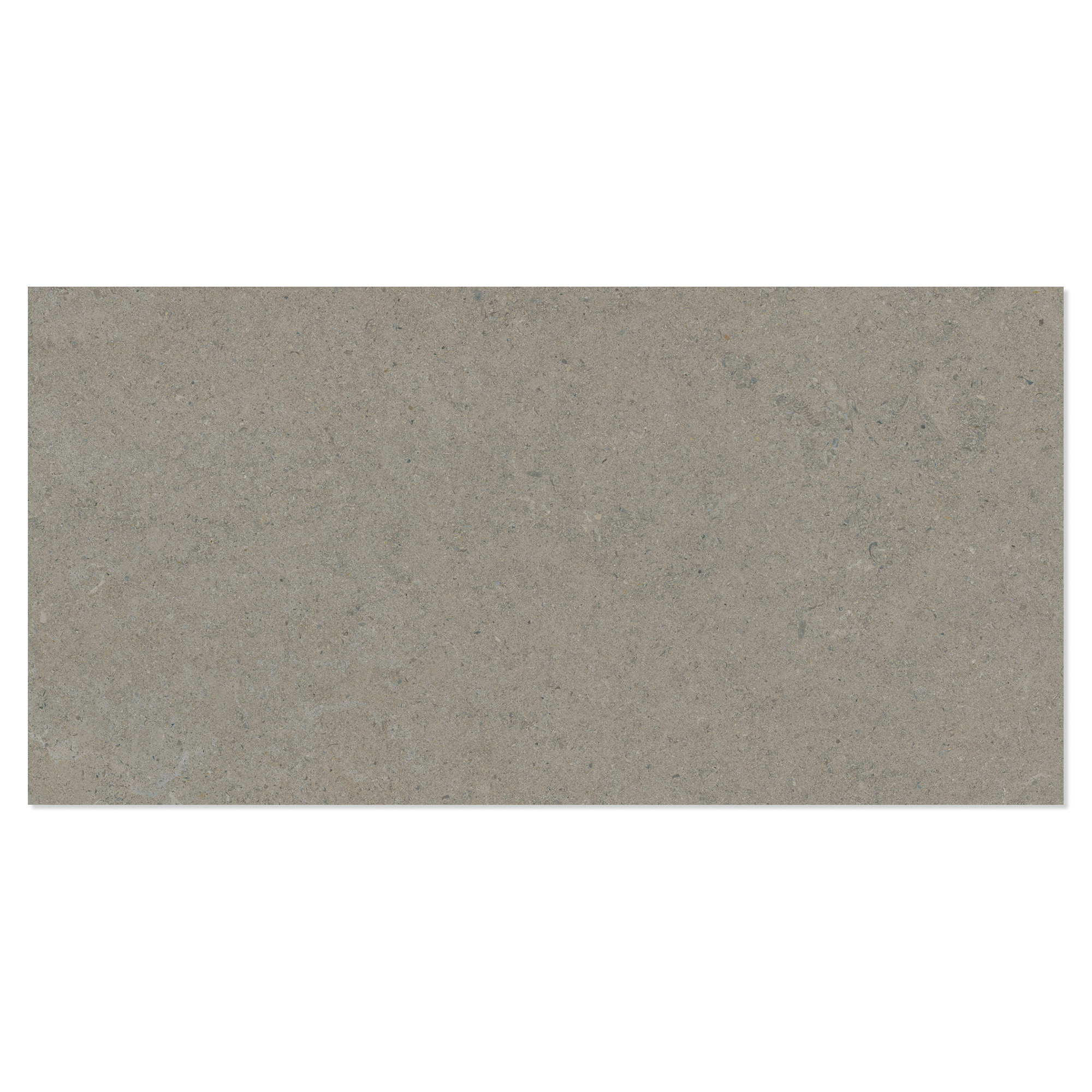 Gulvflis Litha Gråbeige Brushed Matt 60x120 cm