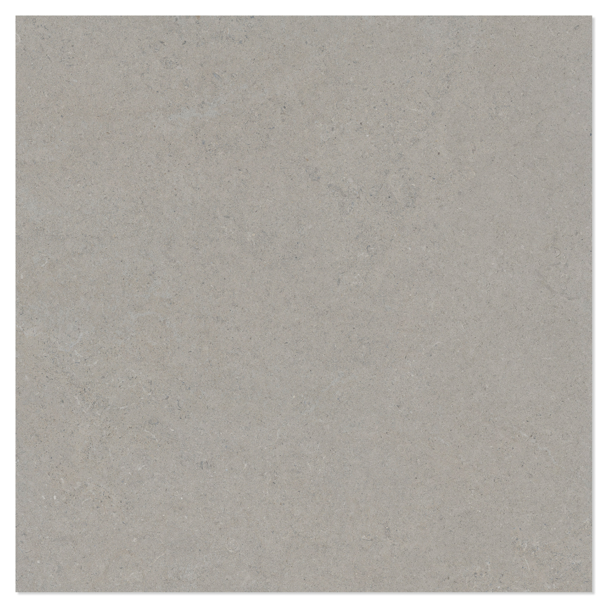 Gulvflis Litha Grå Brushed Matt 160x160 cm