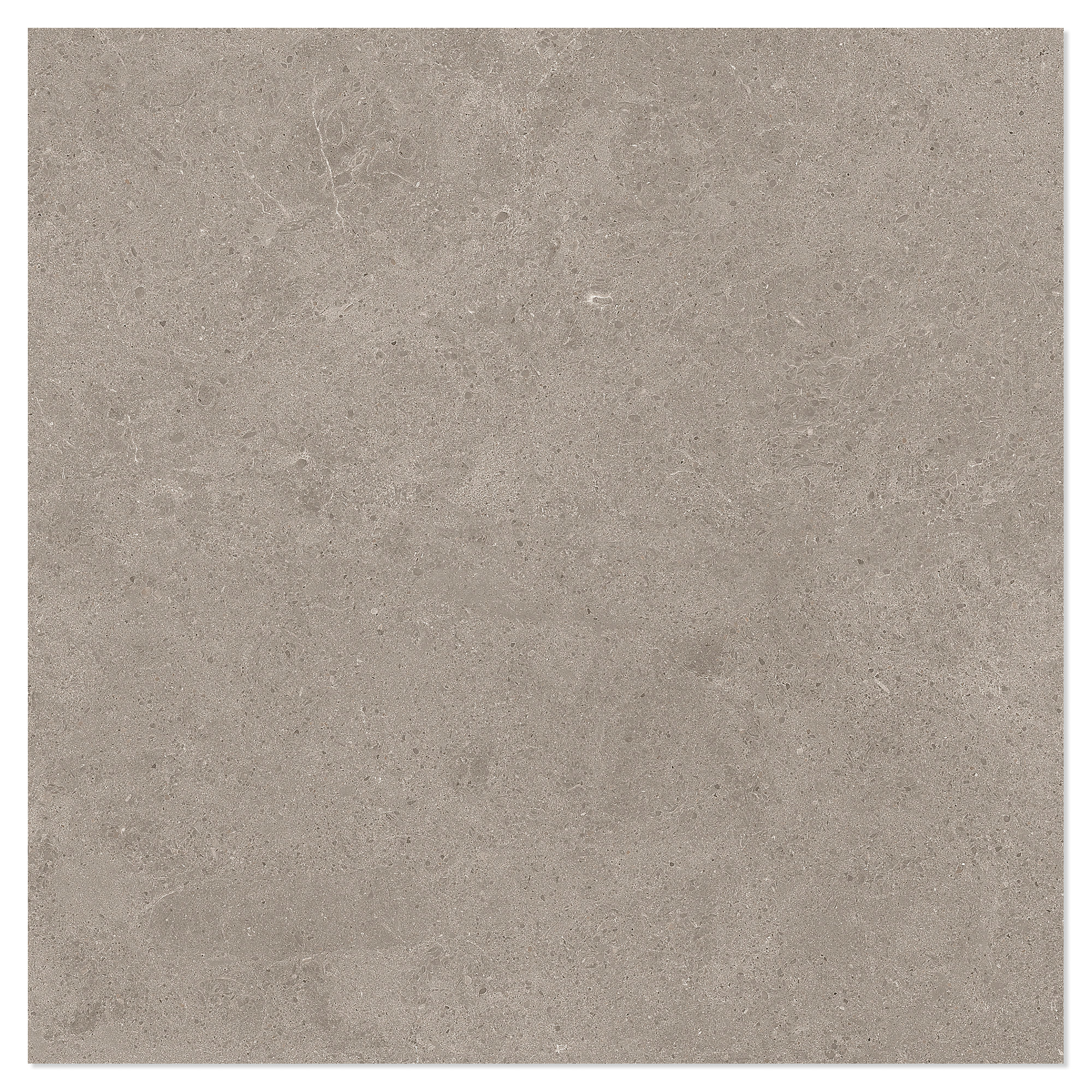 Marmor Gulvflis Arento Ljusbrun Matt 60x60 cm