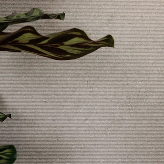 Veggflis <strong>Jura</strong>  Linen Matt Relieff 30x90 cm