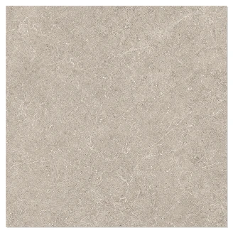 Gulvflis <strong>Uno</strong>  Ljusbrun Matt 100x100 cm