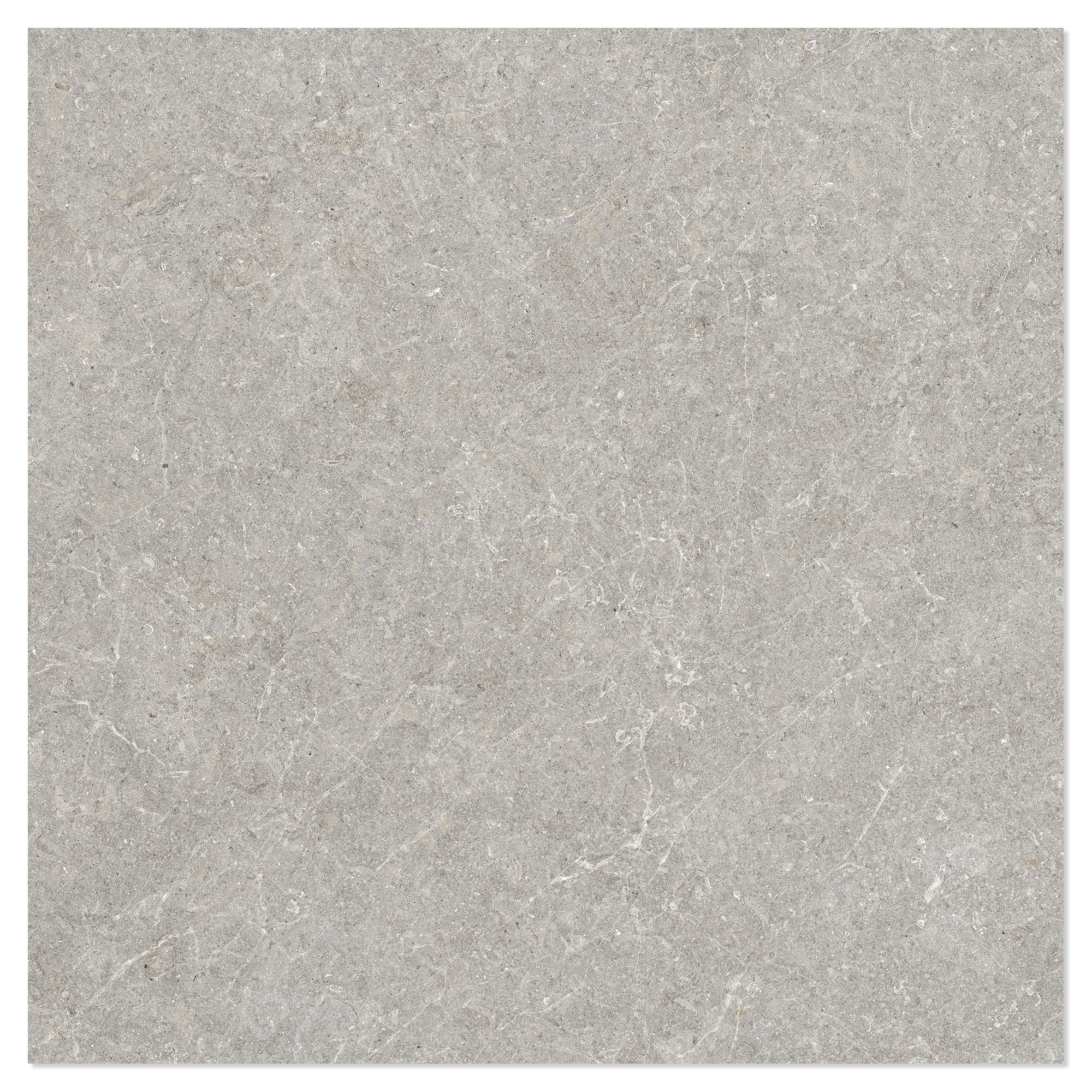 Gulvflis Uno Gråbeige Matt 100x100 cm
