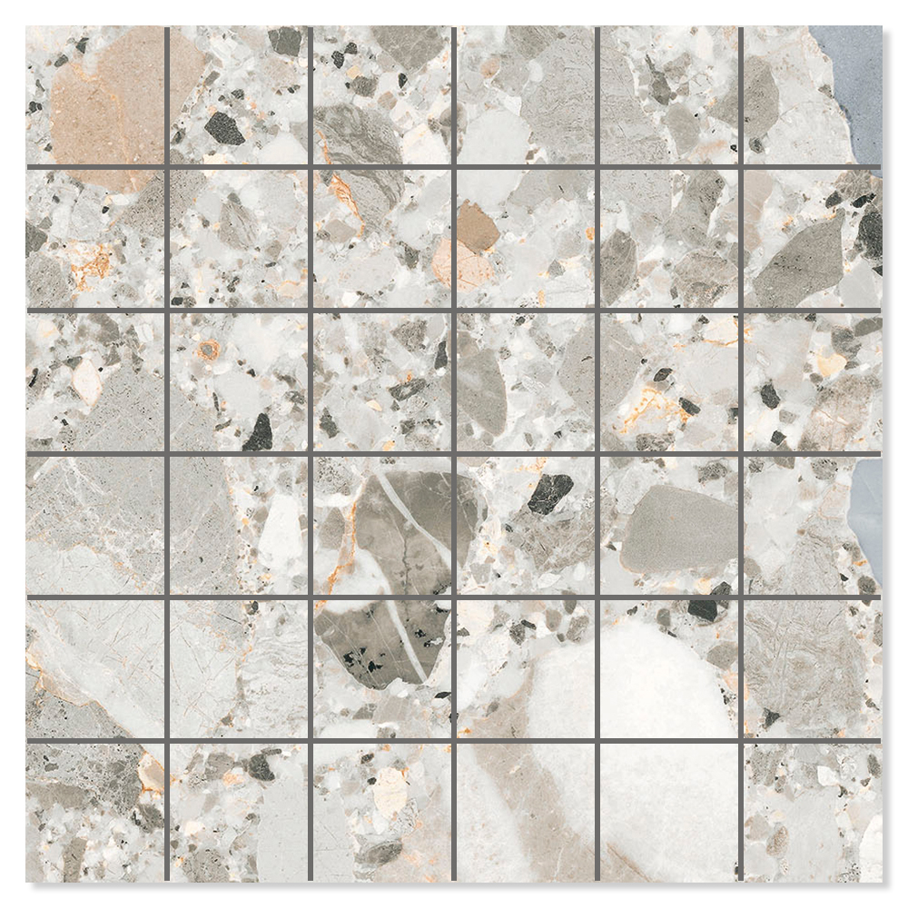 Mosaikk Gulvflis Terrazzo Premio Raw Flerfarget Matt 30x30 cm