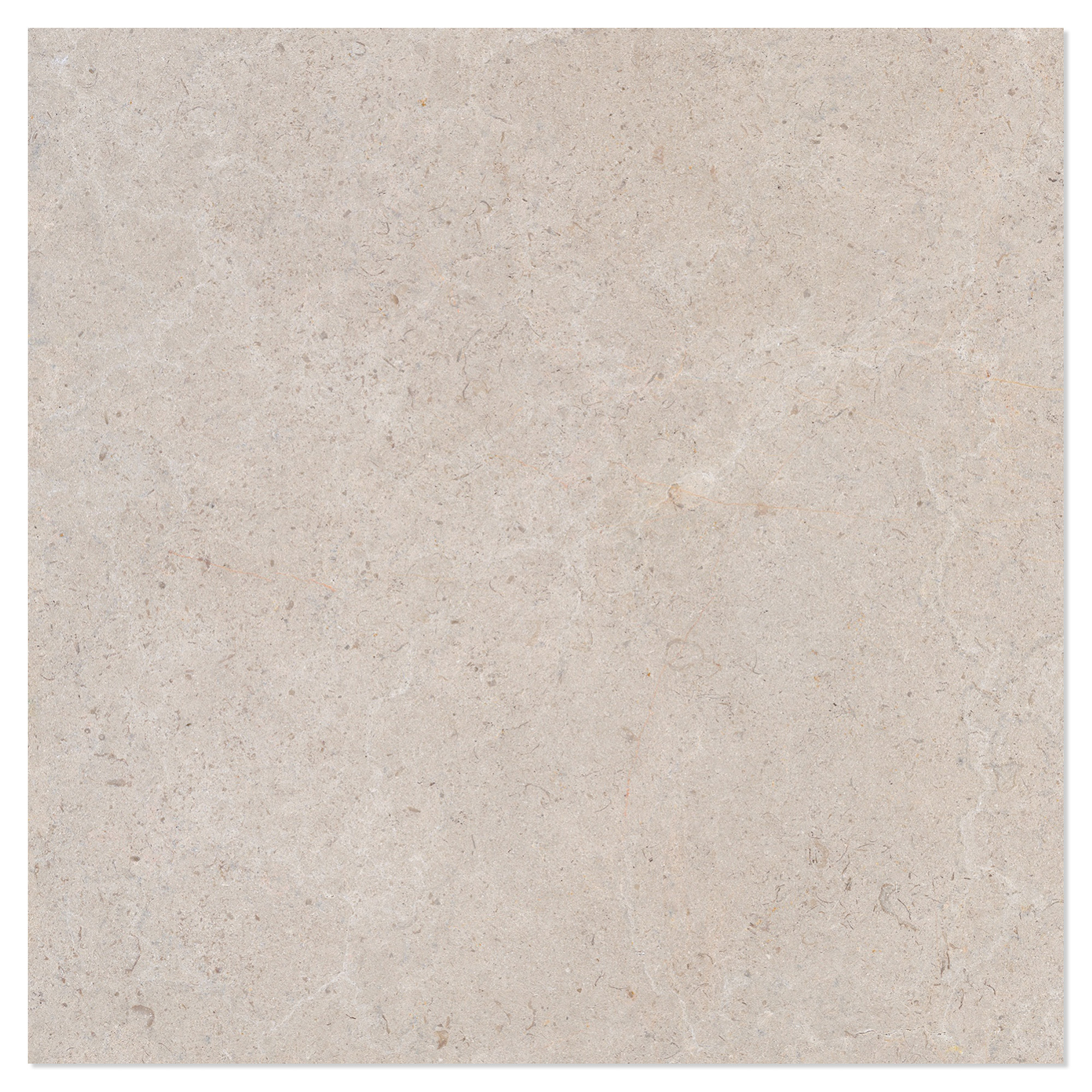 Gulvflis Solina Raw Gråbeige Matt 60x60 cm