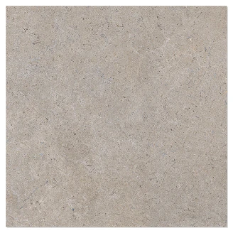 Gulvflis <strong>Solina</strong>  Raw Ljusbrun Matt 60x60 cm