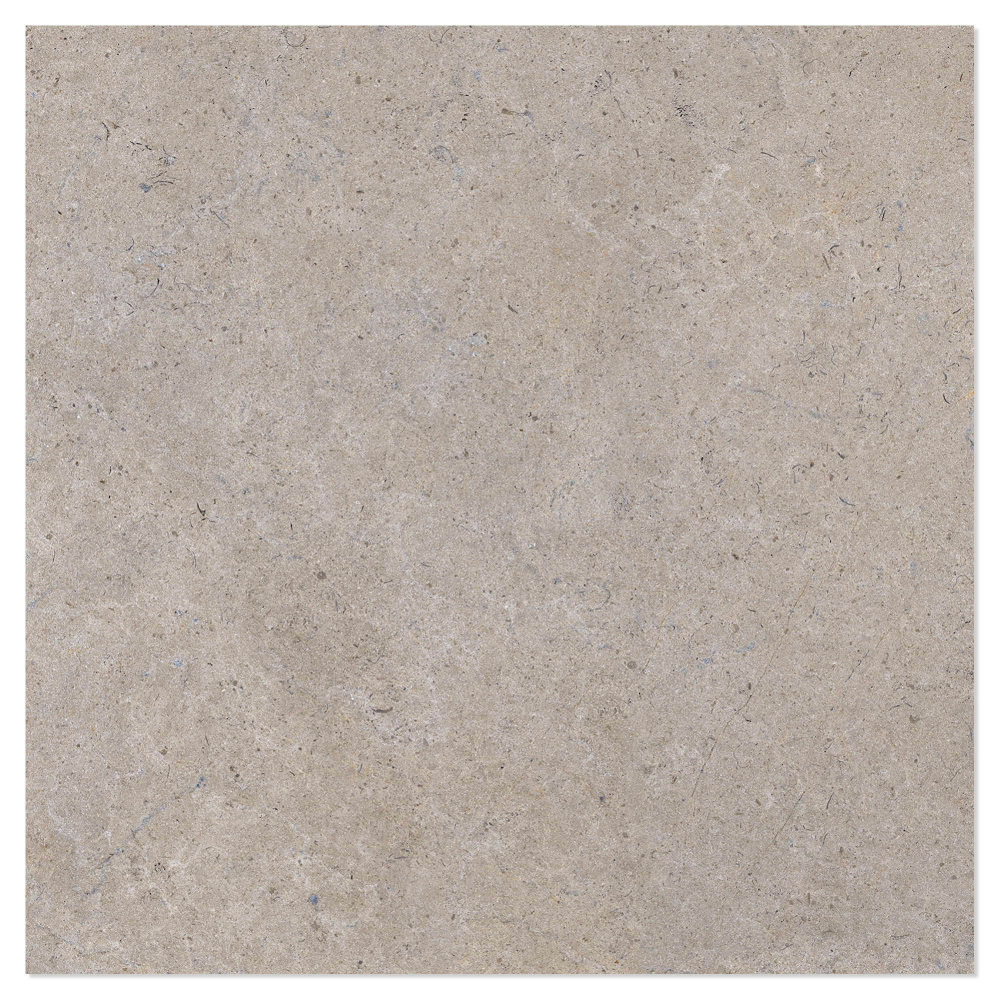 Gulvflis Solina Raw Ljusbrun Matt 60x60 cm