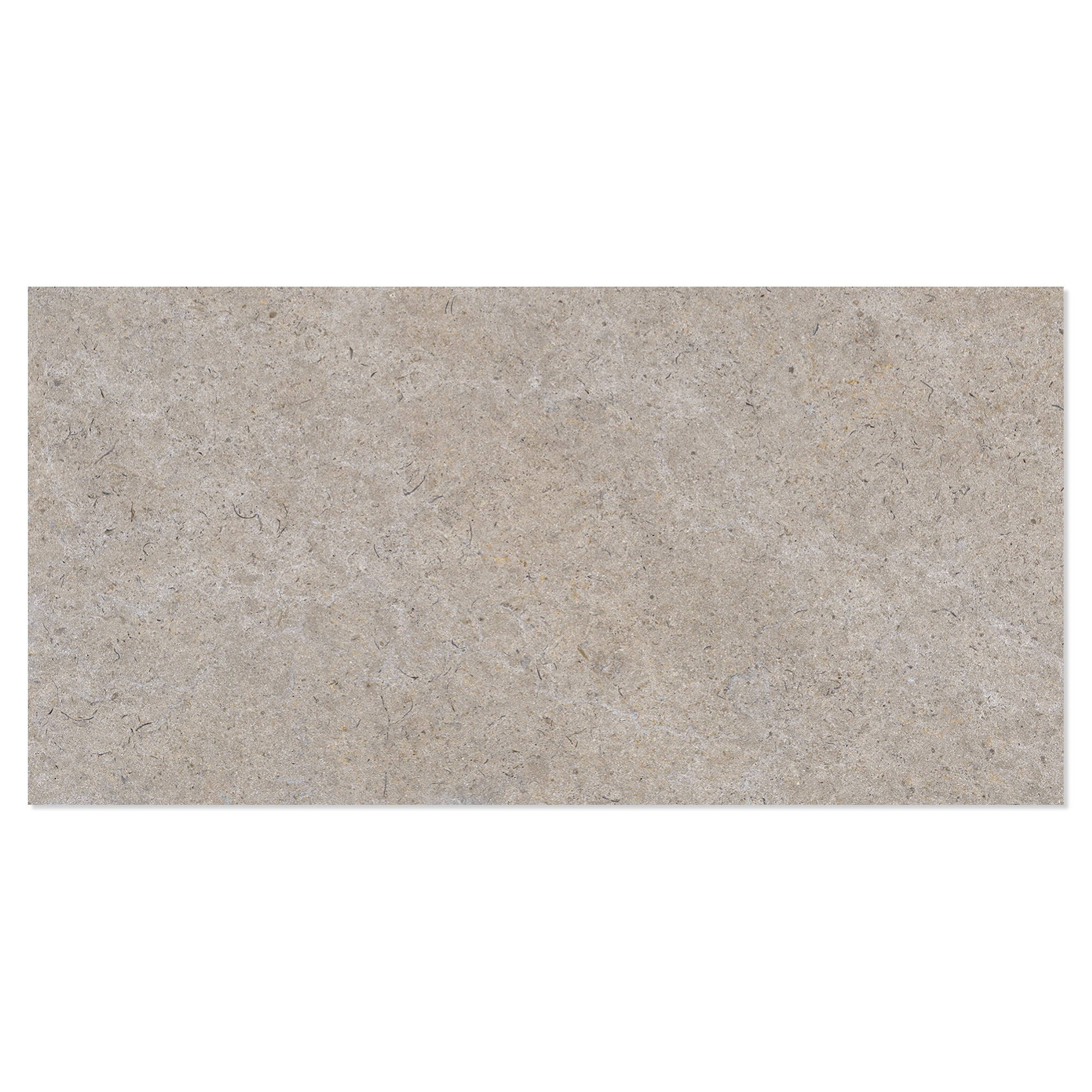 Gulvflis Solina Raw Ljusbrun Matt 30x60 cm