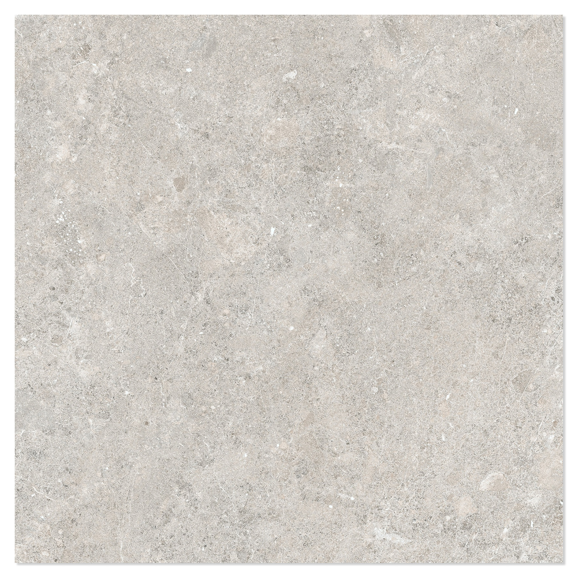 Gulvflis Varda Raw Beige Matt 61x61 cm