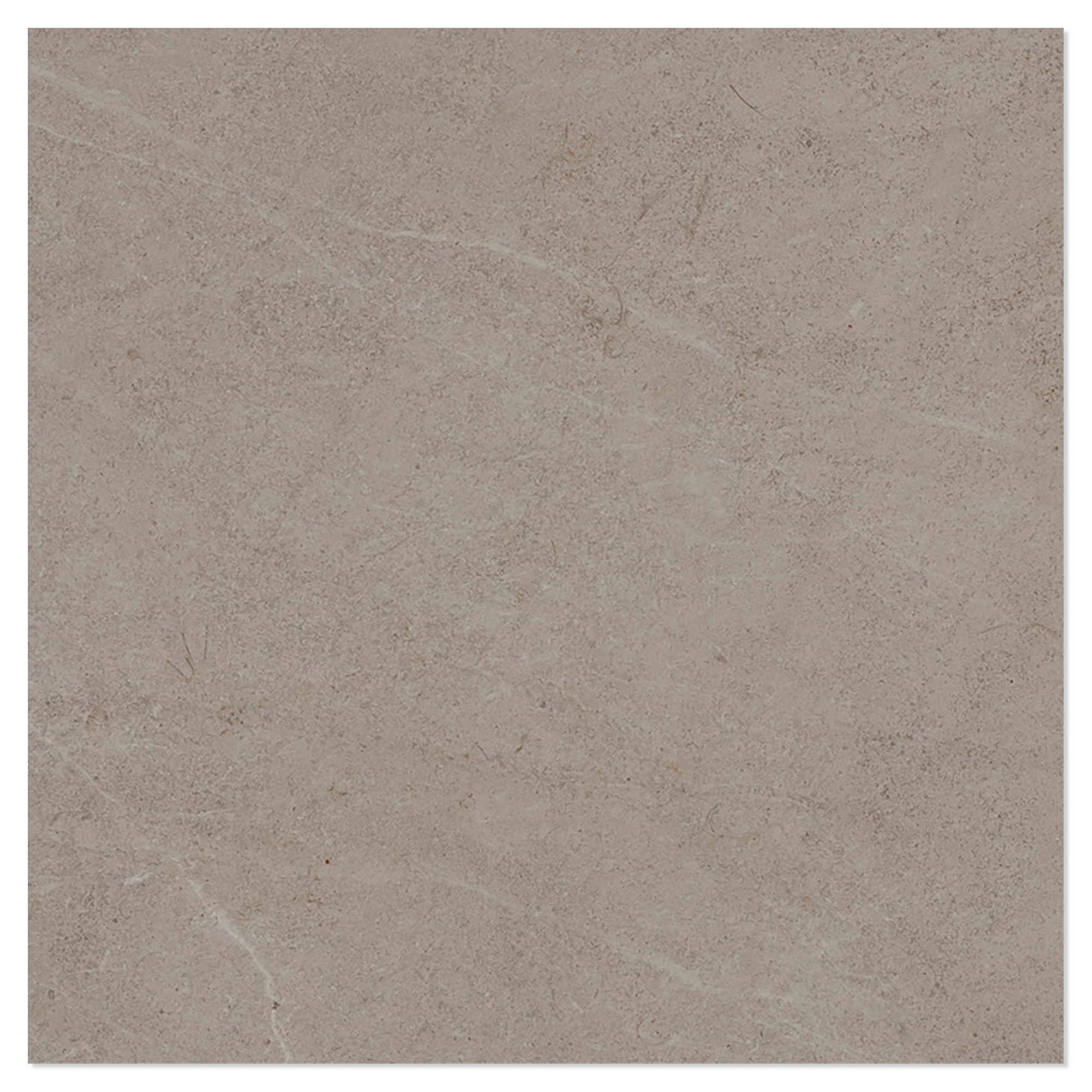 Gulvflis Terva Raw Gråbeige Matt 100x100 cm