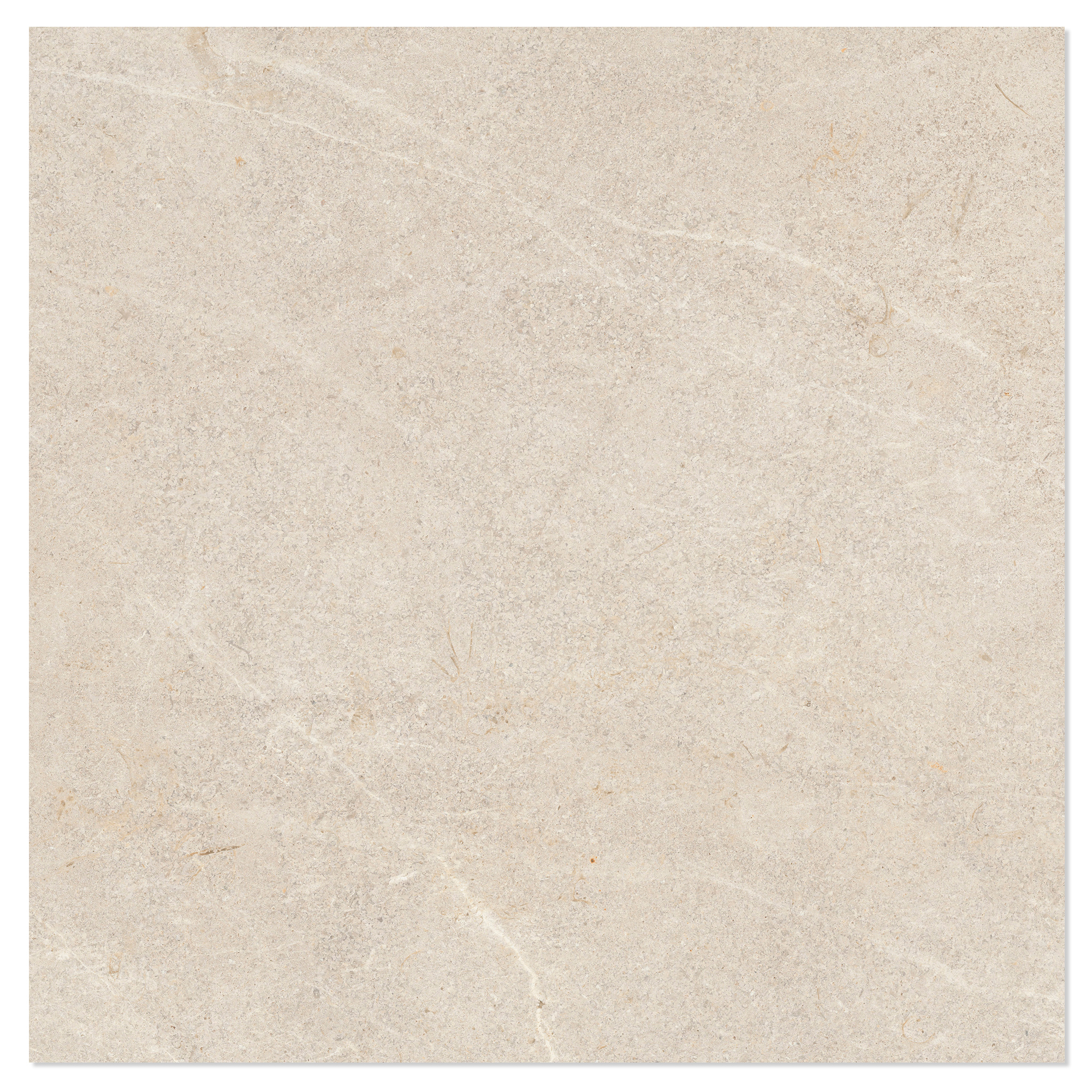 Gulvflis Terva Raw Beige Matt 60x60 cm